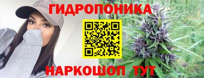 шишки Коммунар