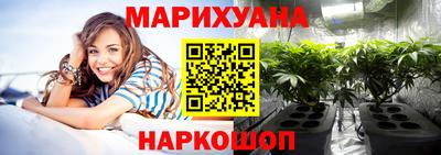 шишки Коммунар