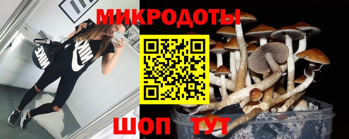 Псилоцибиновые грибы GOLDEN TEACHER  Вход с VPN  Стрежевой 